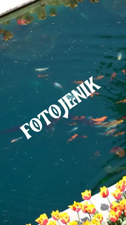 fotojenik-00046
