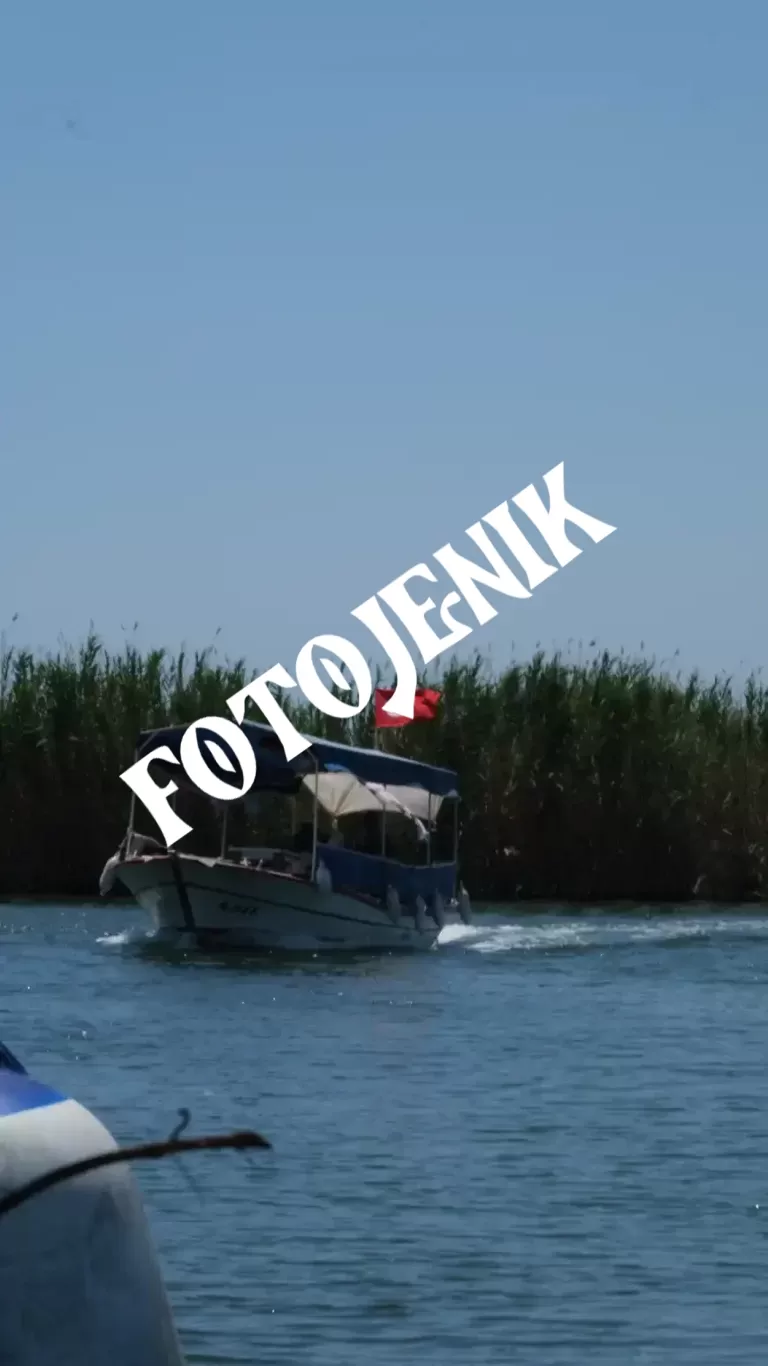 fotojenik-00594